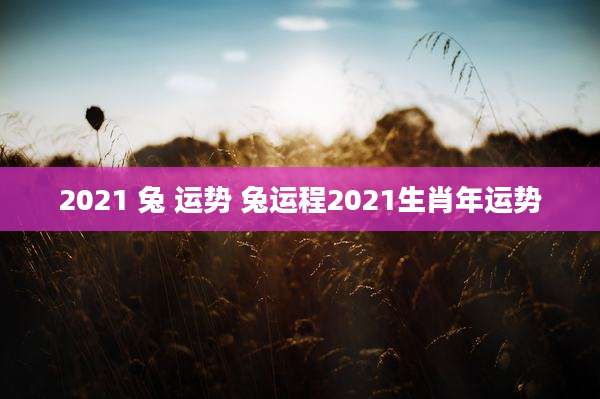 2021 兔 运势 兔运程2021生肖年运势