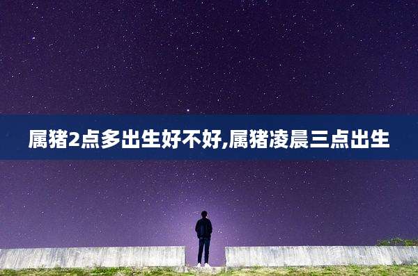 属猪2点多出生好不好,属猪凌晨三点出生