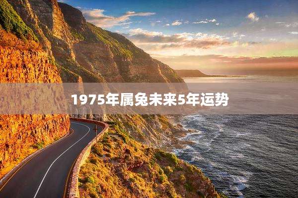 1975年属兔未来5年运势