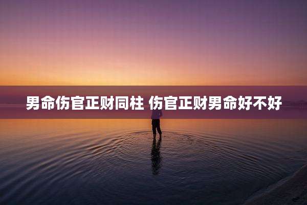 男命伤官正财同柱 伤官正财男命好不好