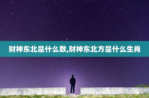 财神东北是什么数,财神东北方是什么生肖