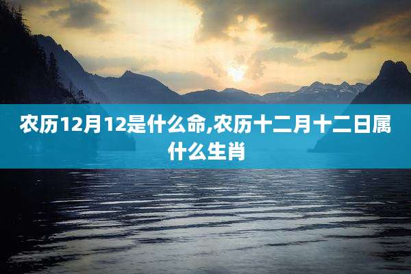 农历12月12是什么命,农历十二月十二日属什么生肖