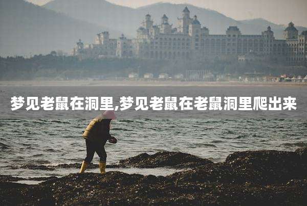 梦见老鼠在洞里,梦见老鼠在老鼠洞里爬出来