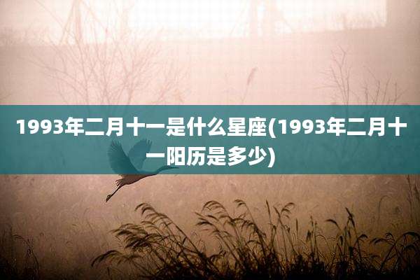 1993年二月十一是什么星座(1993年二月十一阳历是多少)