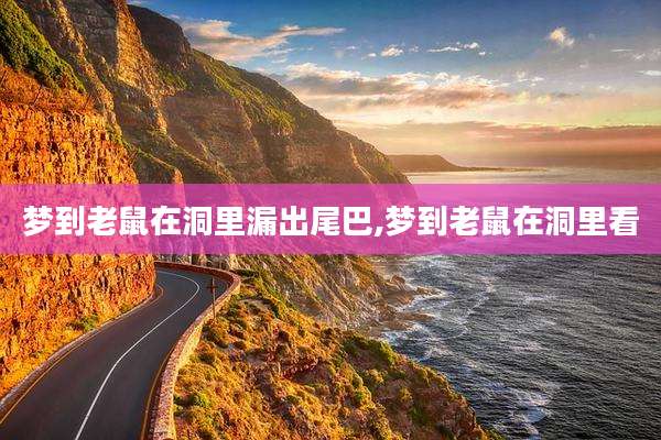 梦到老鼠在洞里漏出尾巴,梦到老鼠在洞里看