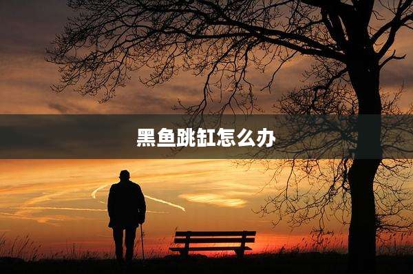 黑鱼跳缸怎么办