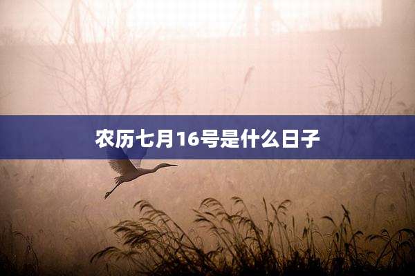 农历七月16号是什么日子