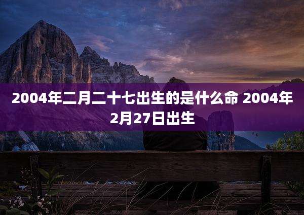 2004年二月二十七出生的是什么命 2004年2月27日出生