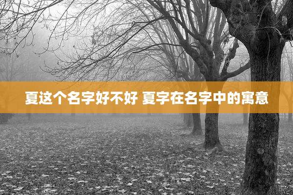 夏这个名字好不好 夏字在名字中的寓意