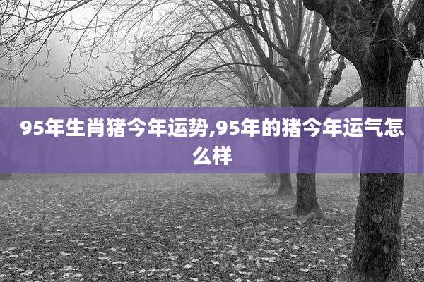 95年生肖猪今年运势,95年的猪今年运气怎么样