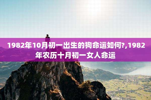 1982年10月初一出生的狗命运如何?,1982年农历十月初一女人命运