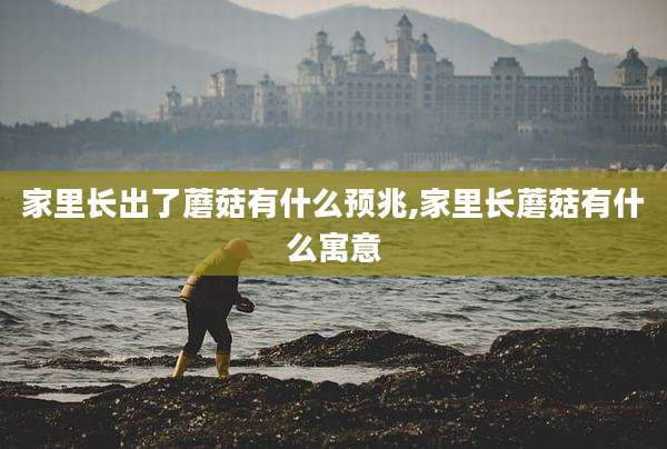 家里长出了蘑菇有什么预兆,家里长蘑菇有什么寓意