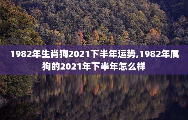 1982年生肖狗2021下半年运势,1982年属狗的2021年下半年怎么样