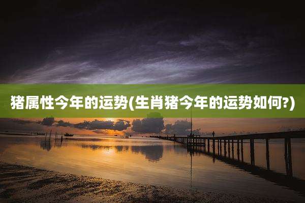 猪属性今年的运势(生肖猪今年的运势如何?)