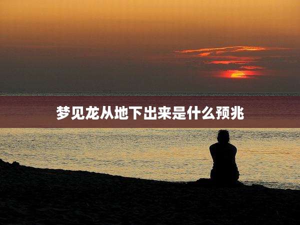 梦见龙从地下出来是什么预兆
