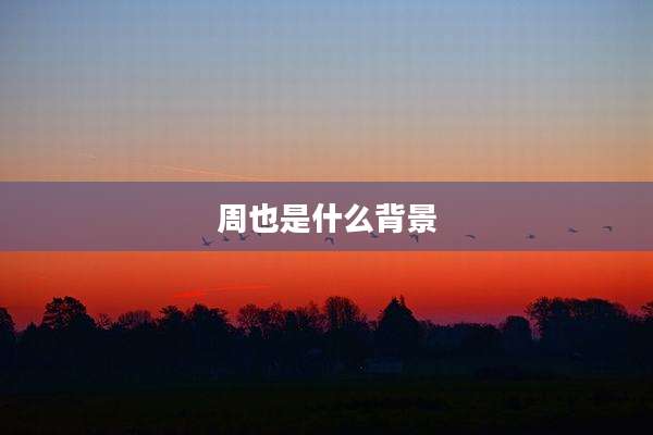 周也是什么背景