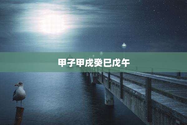 甲子甲戌癸巳戊午
