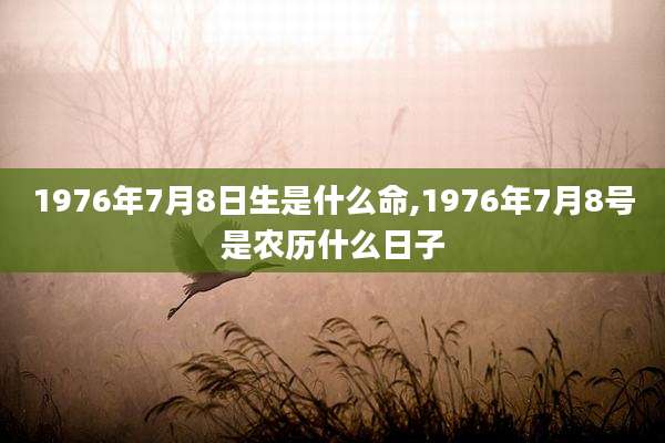 1976年7月8日生是什么命,1976年7月8号是农历什么日子