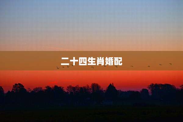 二十四生肖婚配