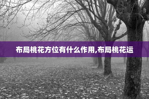 布局桃花方位有什么作用,布局桃花运
