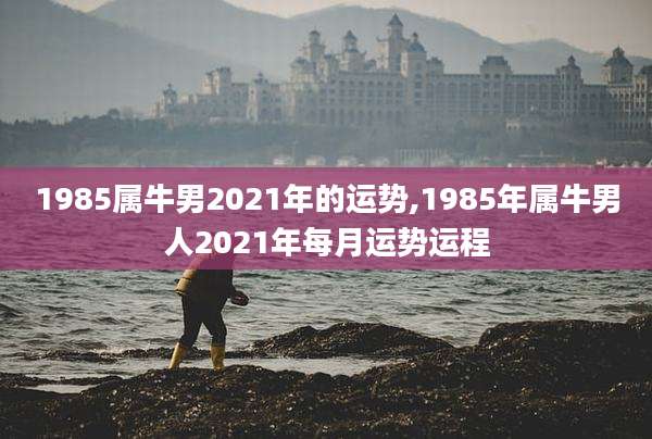 1985属牛男2021年的运势,1985年属牛男人2021年每月运势运程