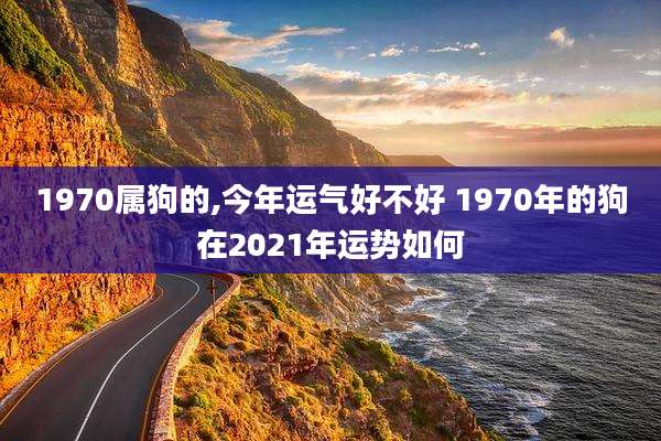 1970属狗的,今年运气好不好 1970年的狗在2021年运势如何