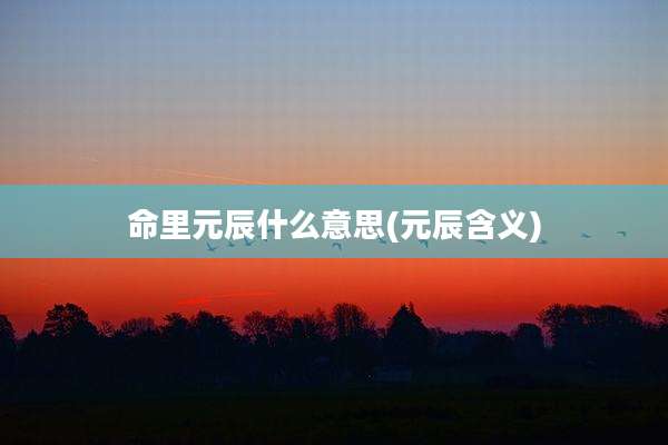 命里元辰什么意思(元辰含义)