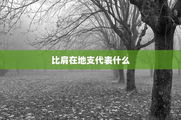 比肩在地支代表什么