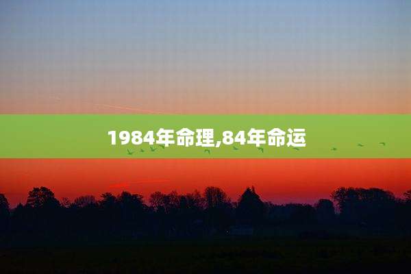 1984年命理,84年命运