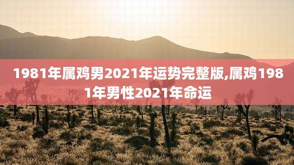 1981年属鸡男2021年运势完整版,属鸡1981年男性2021年命运