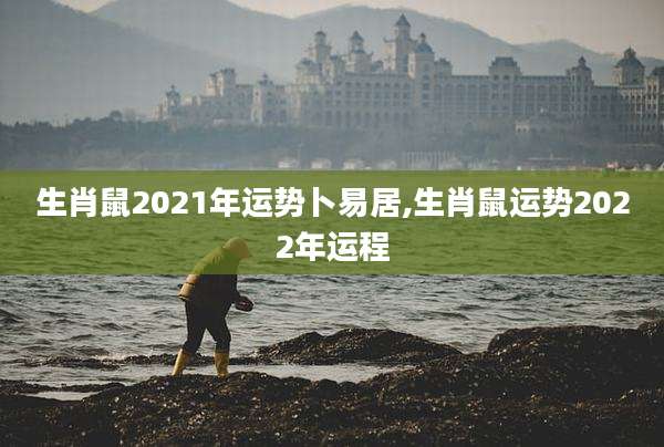 生肖鼠2021年运势卜易居,生肖鼠运势2022年运程
