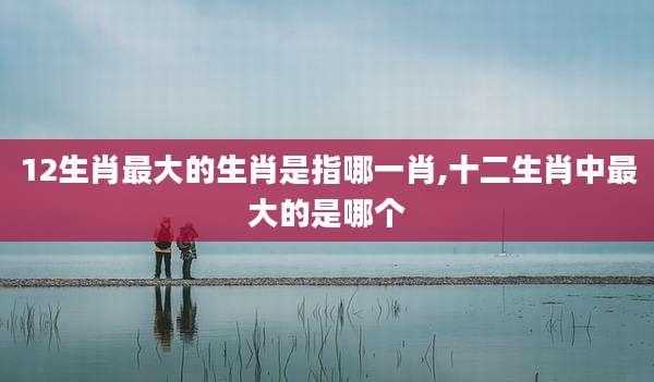 12生肖最大的生肖是指哪一肖,十二生肖中最大的是哪个