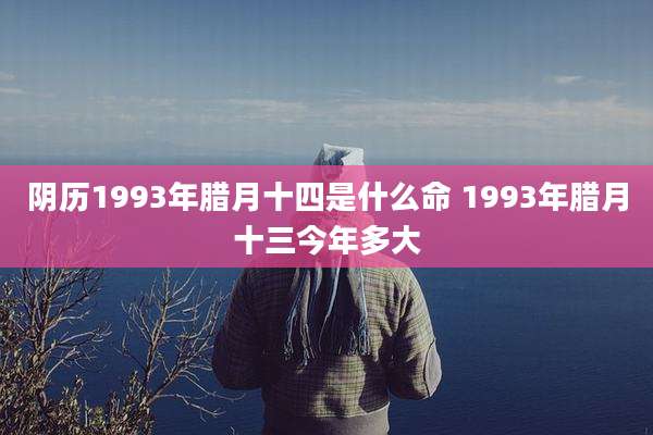 阴历1993年腊月十四是什么命 1993年腊月十三今年多大