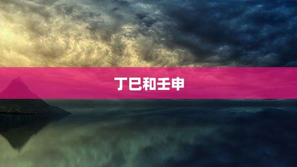丁巳和壬申