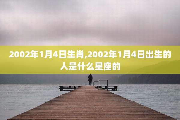 2002年1月4日生肖,2002年1月4日出生的人是什么星座的