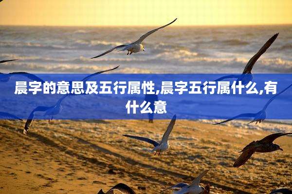 晨字的意思及五行属性,晨字五行属什么,有什么意