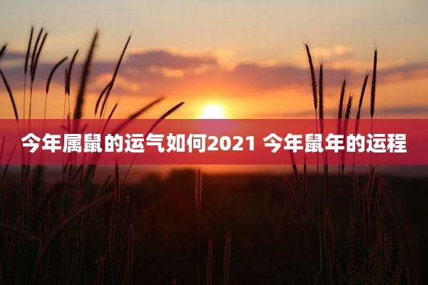 今年属鼠的运气如何2021 今年鼠年的运程
