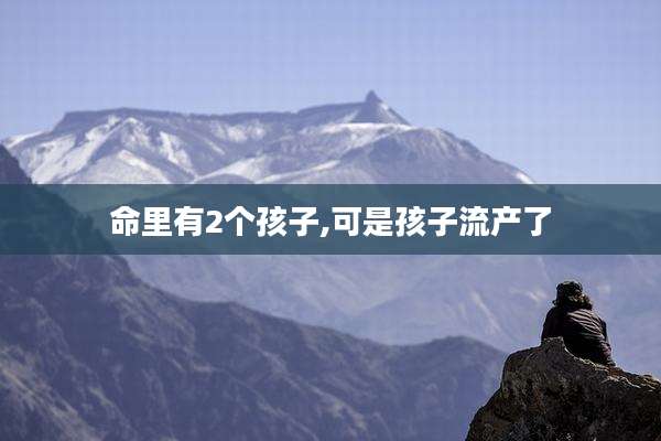 命里有2个孩子,可是孩子流产了