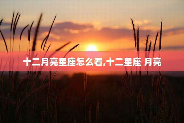 十二月亮星座怎么看,十二星座 月亮