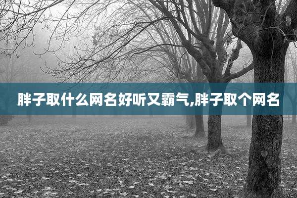 胖子取什么网名好听又霸气,胖子取个网名