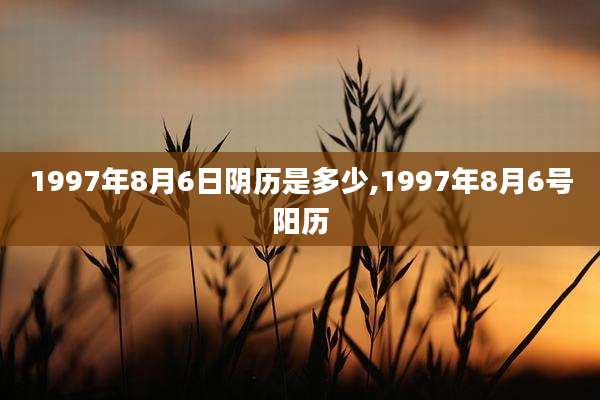 1997年8月6日阴历是多少,1997年8月6号阳历