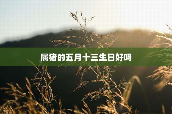 属猪的五月十三生日好吗