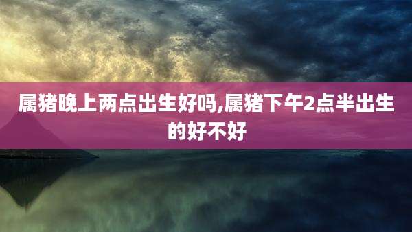 属猪晚上两点出生好吗,属猪下午2点半出生的好不好