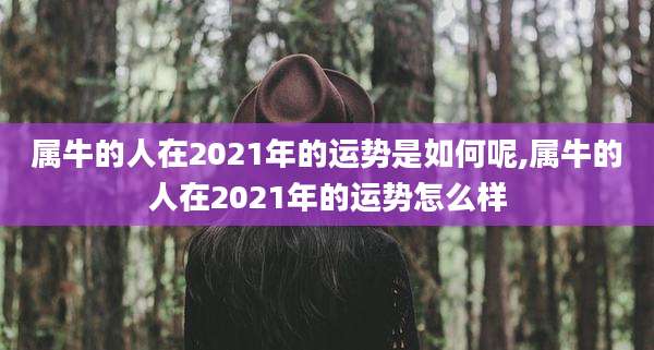 属牛的人在2021年的运势是如何呢,属牛的人在2021年的运势怎么样