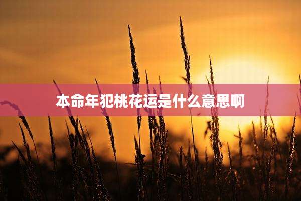 本命年犯桃花运是什么意思啊