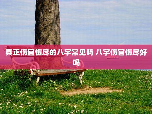 真正伤官伤尽的八字常见吗 八字伤官伤尽好吗