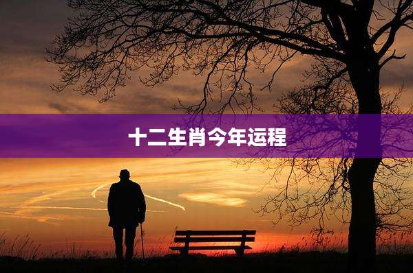 十二生肖今年运程