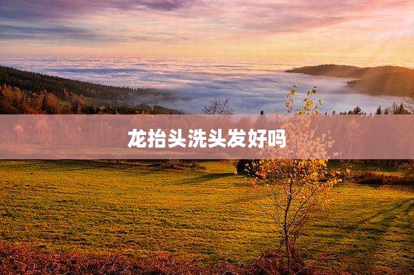 龙抬头洗头发好吗