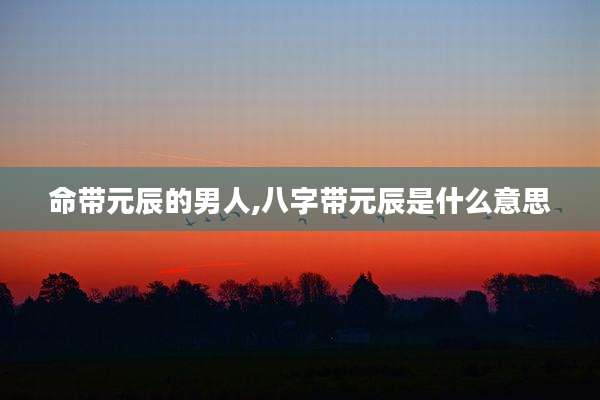 命带元辰的男人,八字带元辰是什么意思