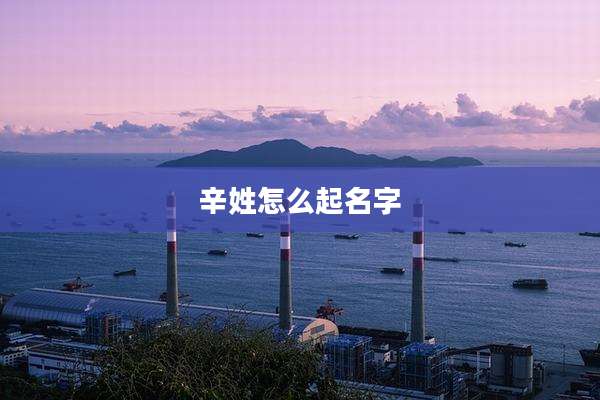 辛姓怎么起名字